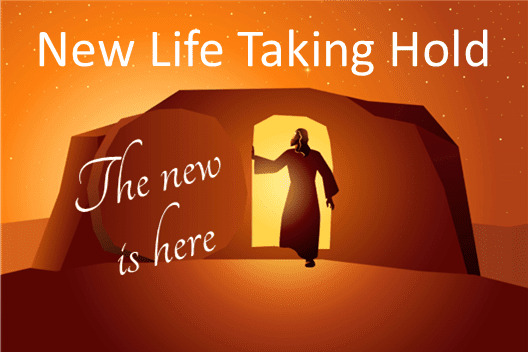New Life Taking Hold – for EVERYBODY