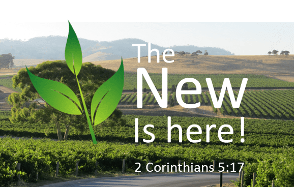 Sunday 6 June 2021