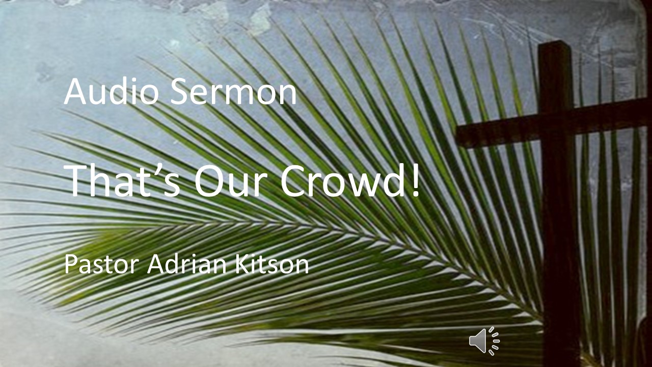 Sunday 10th April – Audio message “That’s our crowd”