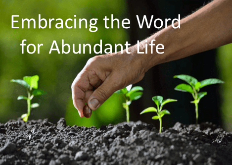 Sunday 16th July – Message – Paul Ridley