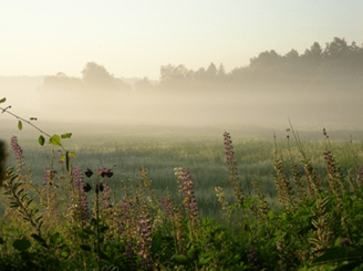 No Favourites – Sunday 5th May