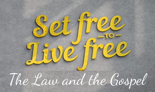 Sunday 6th July – The Law and the Gospel