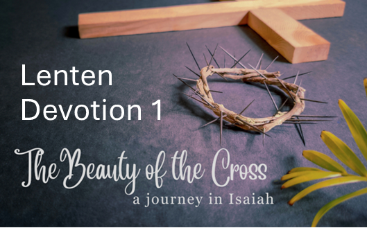 Wednesday 25th February – 5.45 pm Lenten Devotion 1